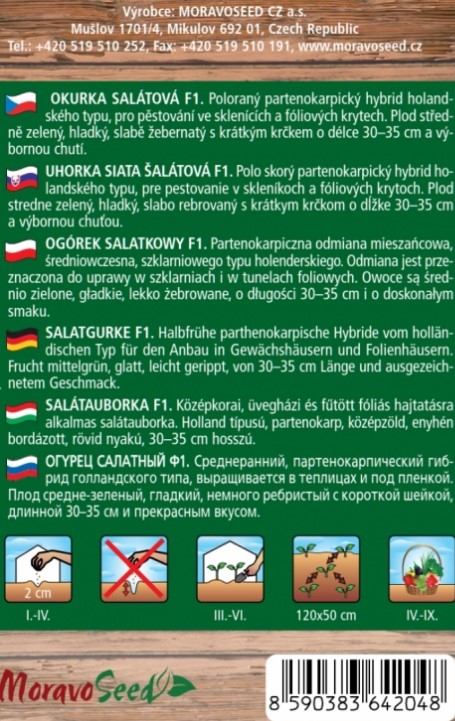 Uhorky skleníková šalatová Santos F1