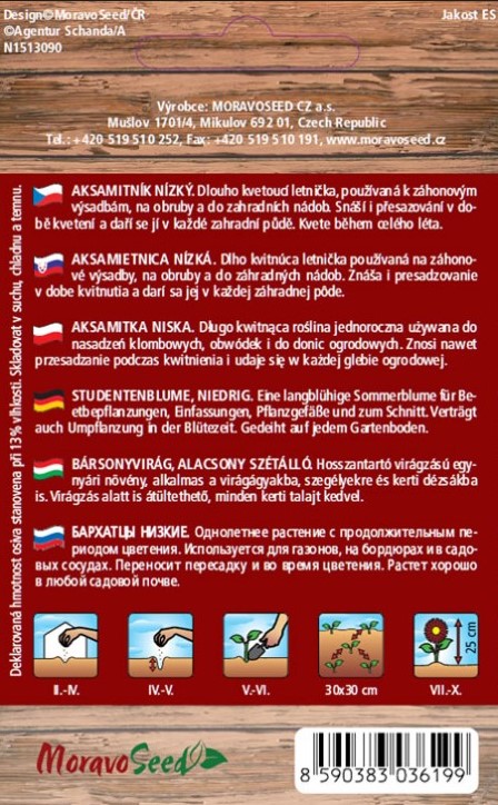 Aksamietnica rozložená jednoduchá hnedo-žltá