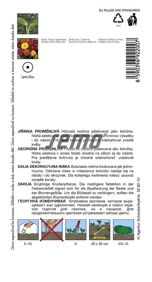 Georgína premenlivá komp zmes S