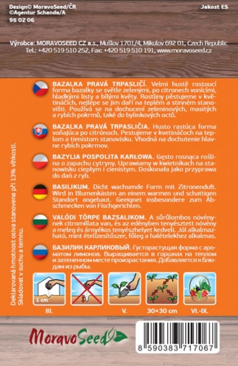 Bazalka pravá trpaslíčia M