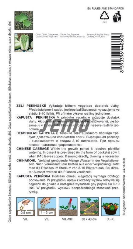 Kapusta pekinská Concord F1 50s S