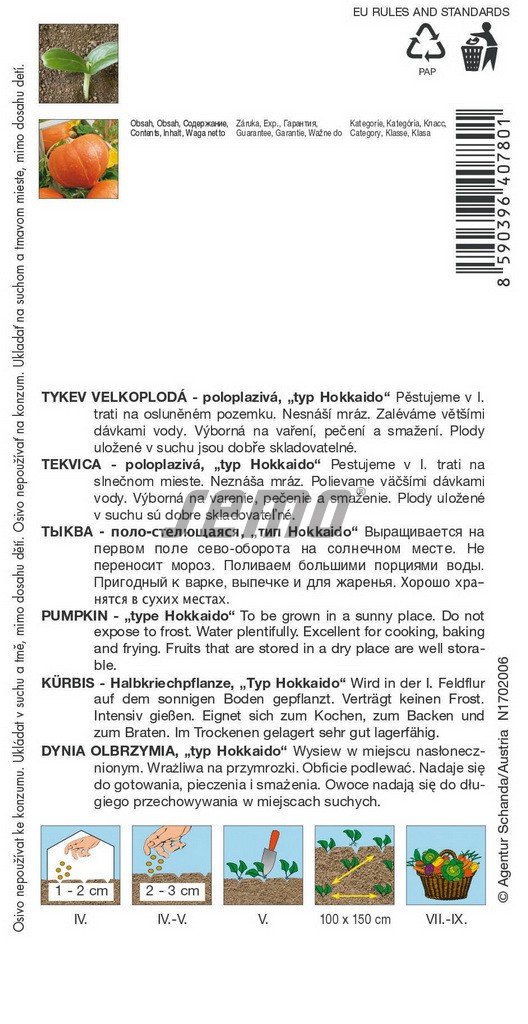 Tekvica AMORO F1 (typ HOKKAIDO) 5s