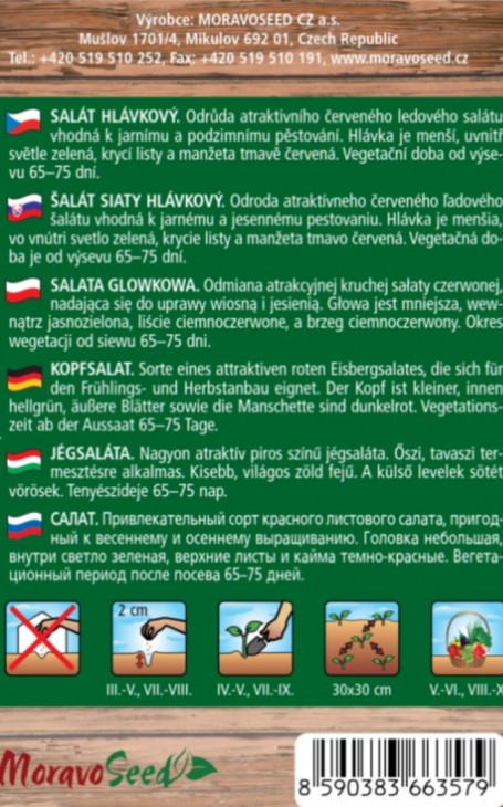 Salat ladový DEREL skorý M