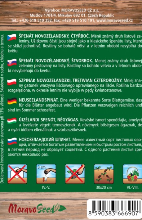 Spenat NOVOZELANDSKY M