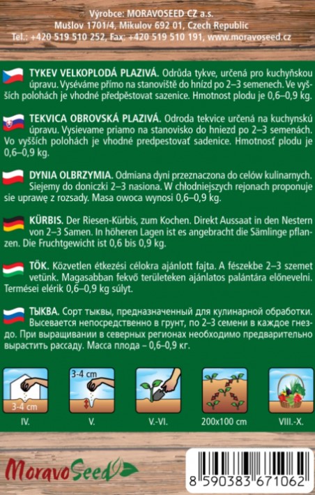 TEKVICA PLAZIVÁ GOLD NUGGET 1g 5s