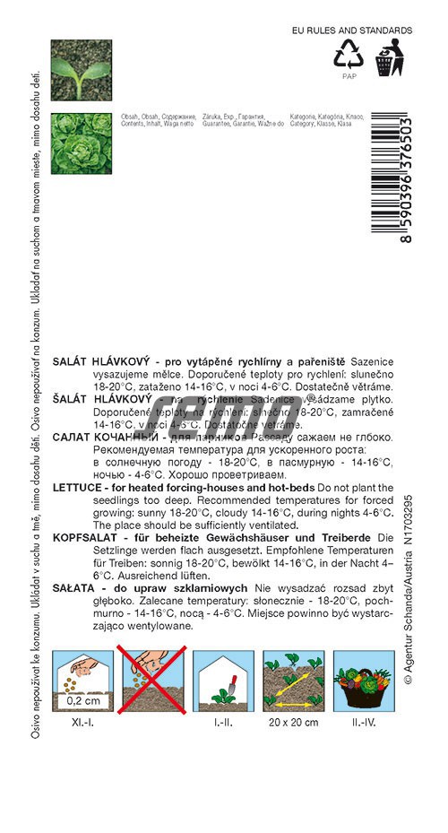 ŠALÁT HLÁVK. BREMEX 0,6 g