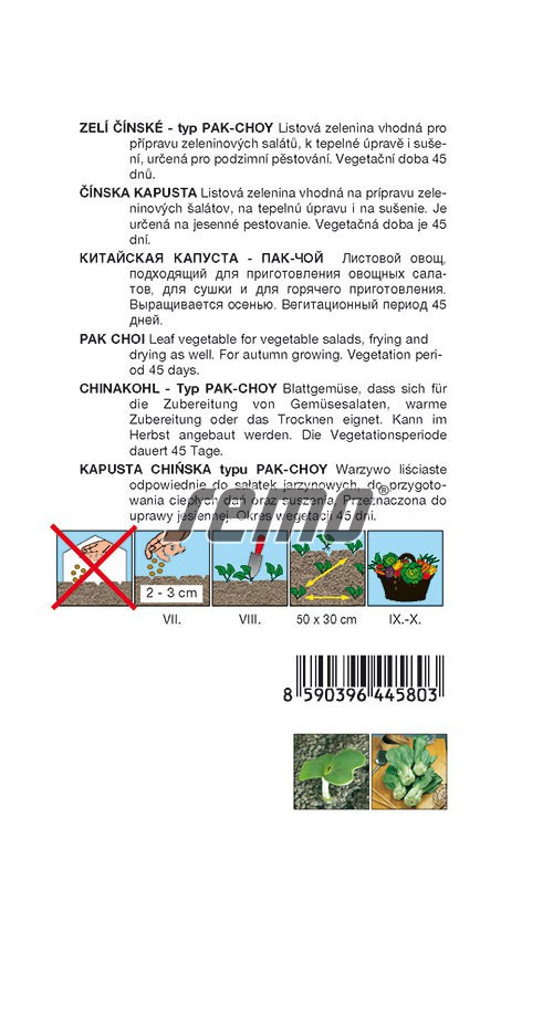 Kapusta čínska GREEN S