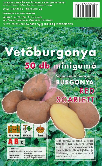 Sadbové zemiaky minihľuzy Red Scarlett 50ks