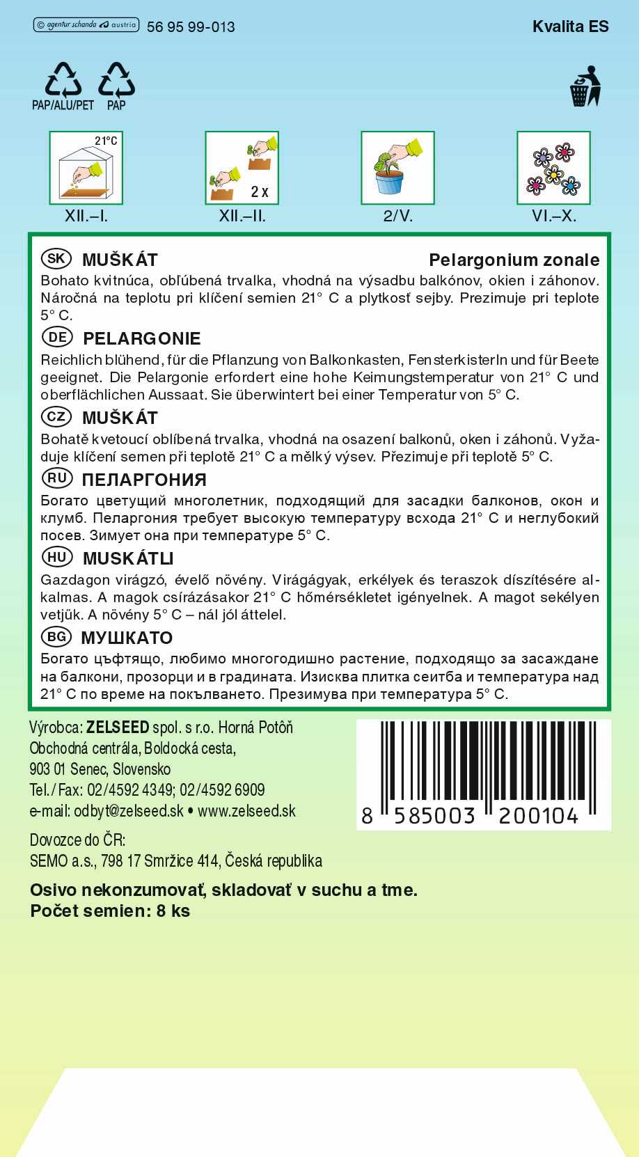 PELARGONIA KRÚŽ F1 TM ČERVENÁ 8s 18