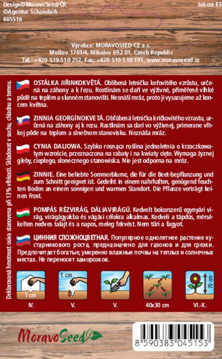 Cinia georgínokvetá fial.M