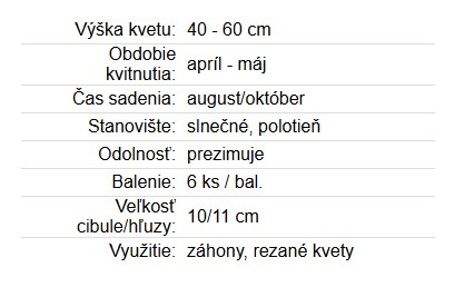 Tulipán Marylin 6ks