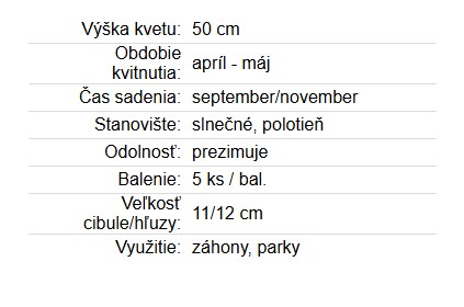 Tulipán Pretty Princess 5ks