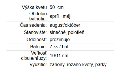 Tulipán Ronaldo 10ks