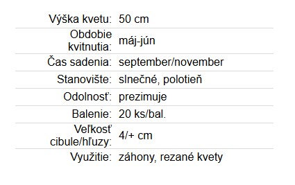 Allium caeruleum 4+ 20ks