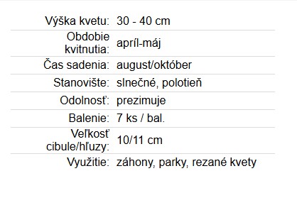 Tulipán Honeymonn 7ks