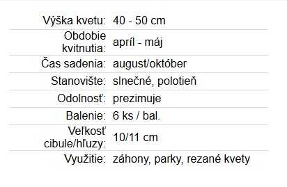 Tulipán Duo Royal Couple 6ks