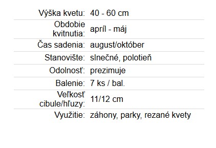 Tulipán Spryng Break 7ks