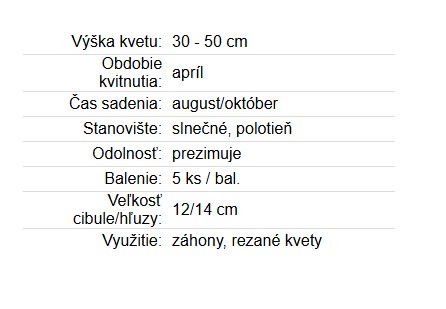 Narcis Orangery 5ks