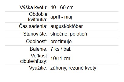 Tulipán Parrot Estella Rijnv 7ks
