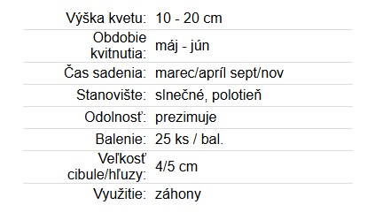 Allium mixed 25ks