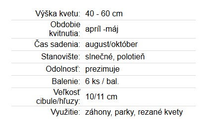 Tulipán - Duo Red & Yellow 6ks