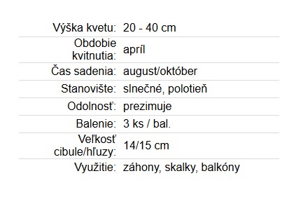 Hyacint Gipsy Queen 3ks