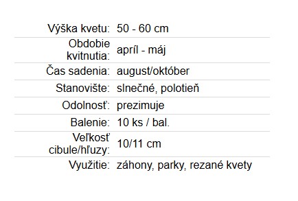 Tulipán Darwin Hybrid mix 10ks