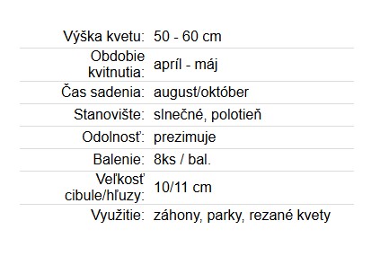 Tulipán Darwin Hybrid Ollioules 8ks