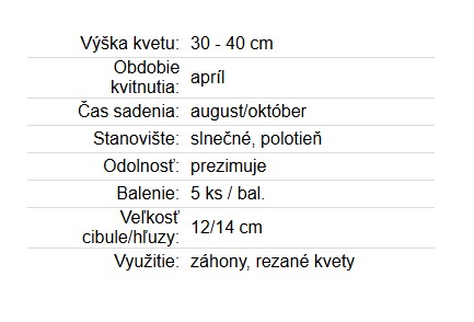 Narcis Double Dick Wilden 5ks