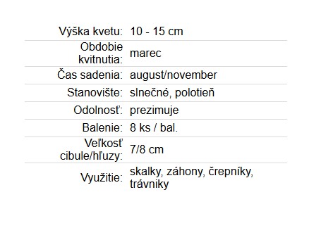Krokus Large Flowering Jeanne d´Arc 8ks