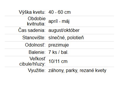 Tulipán Hotpants 7ks