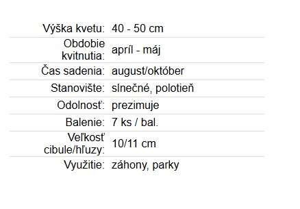 Tulipán CarnevalDeNic 7ks