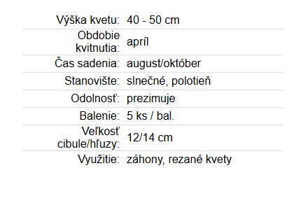 Narcis Large Cupped Flower Record 5ks