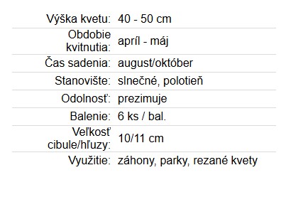 Tulipán Gavota 6ks