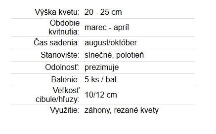 Narcis - Rip van Winkle 5ks