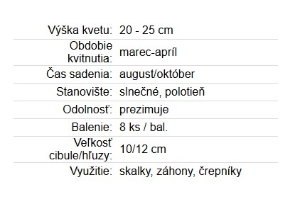Narcis Botanical Tete a tete 8ks