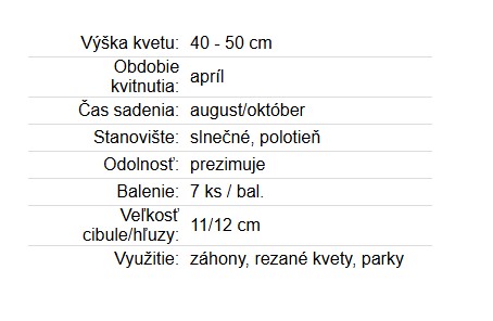 Tulipán Purissima 7ks