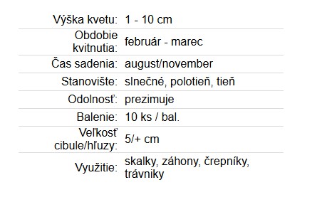 Krokus Botanical mix 10ks