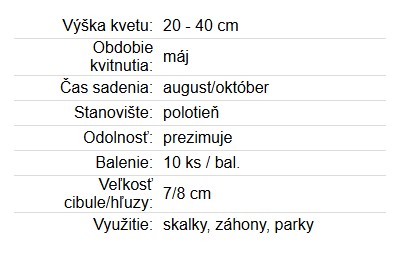 Hyacinthoides mix