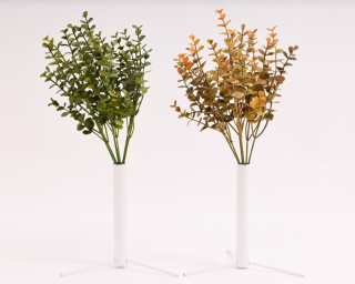 Trs Eucalyptus mini 33cm x7 mix