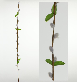 K.Bahniatko 75cm +lístky šedé