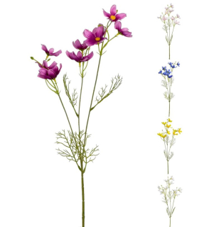 K.Cosmos 57cm 5farieb