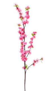 K.Čerešňa 116cm ružová