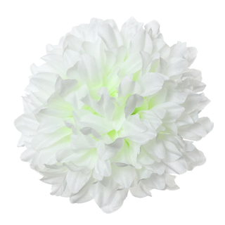 V.Chryzantéma pr.15cm Biela