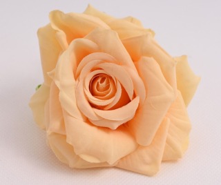 V.Ruža rozkvitnutá pr.10cm CH068 Čajová