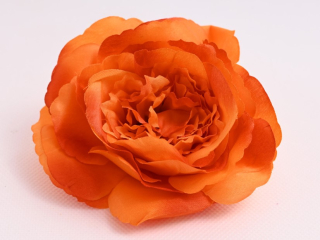 V.Ruža divá 11cm Oranžová