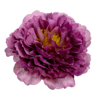 V.Pivónia pr. 8cm Fialová