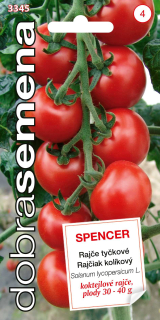 Rajčiak kolíkový Spencer 30s D