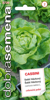 Šalát celoročný hlávkový CASSINI 0,4g D