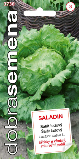 Šalát ľadový Saladin 0,6g D